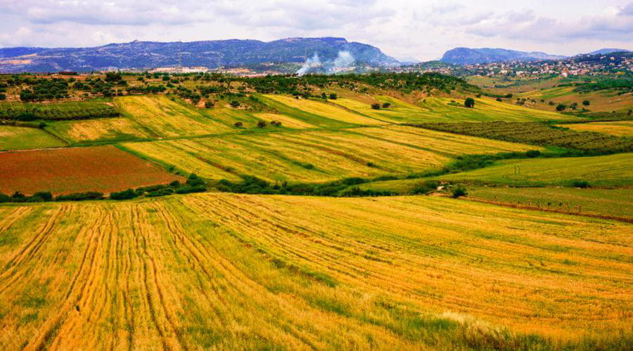 ¿Cuáles son las opciones de vehículos más populares en Mersin (Icel)?